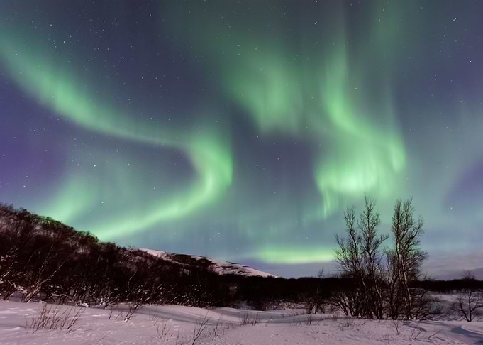 Aurora Lights 64