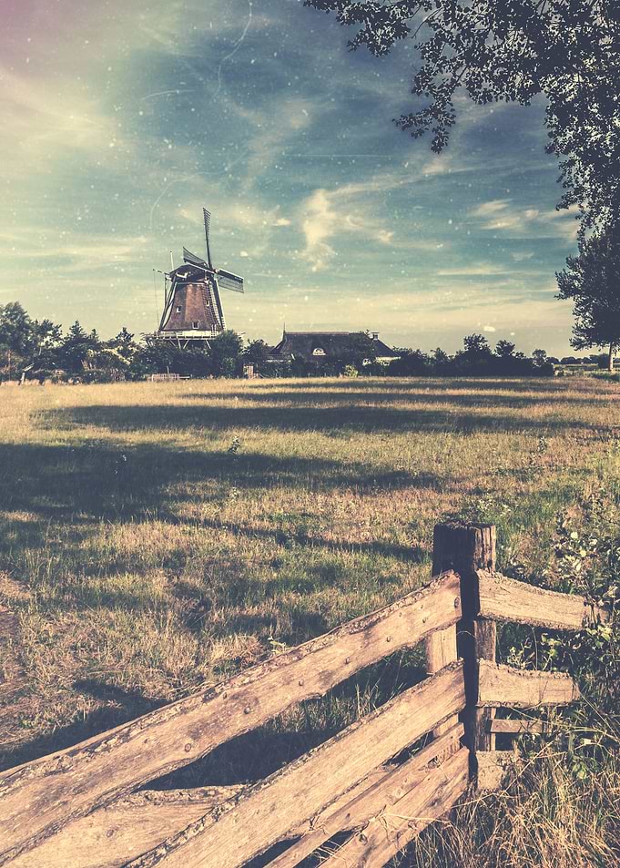 Windmill de Hond