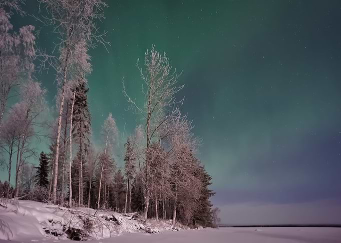 Aurora Lights 39