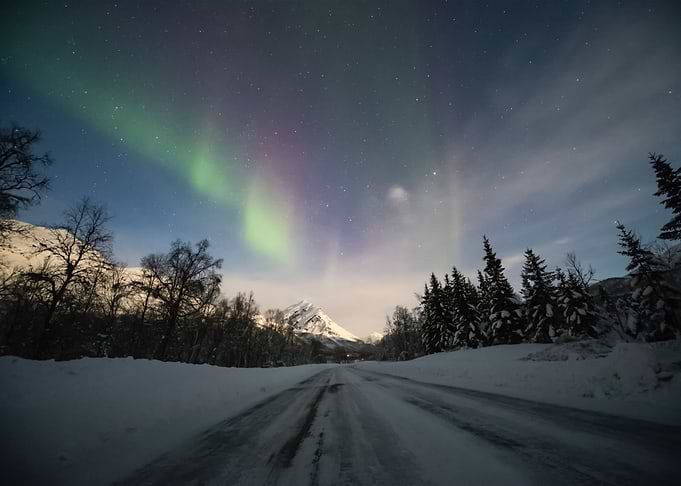 Aurora Lights 80