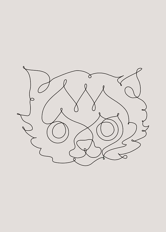 One Line Cat