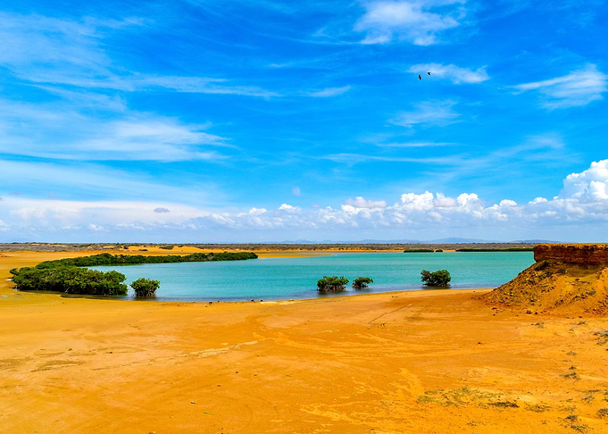 Wild Beach 3