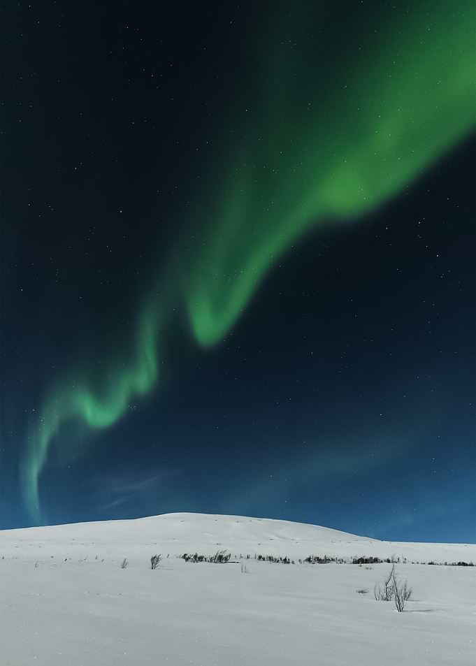 Aurora Lights 45