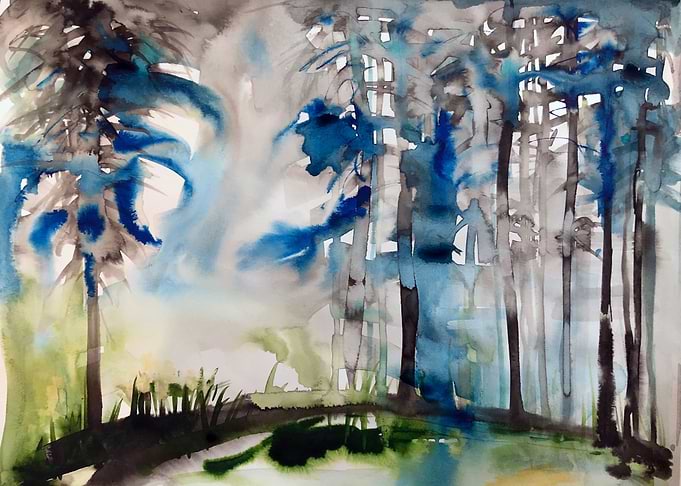 foggy forest
