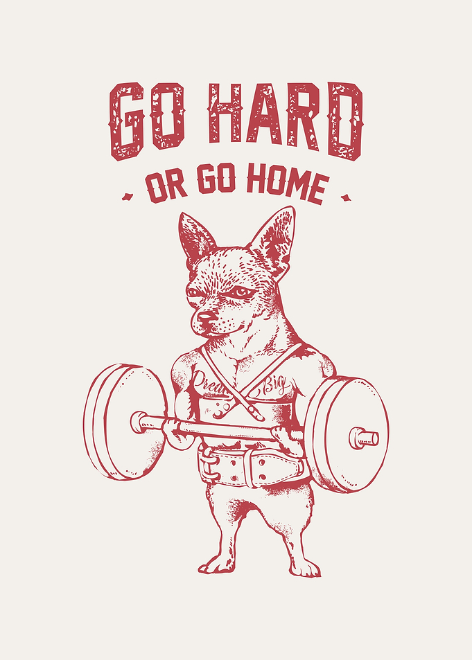 Go Hard Chihuahua