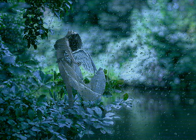Fairy Facial