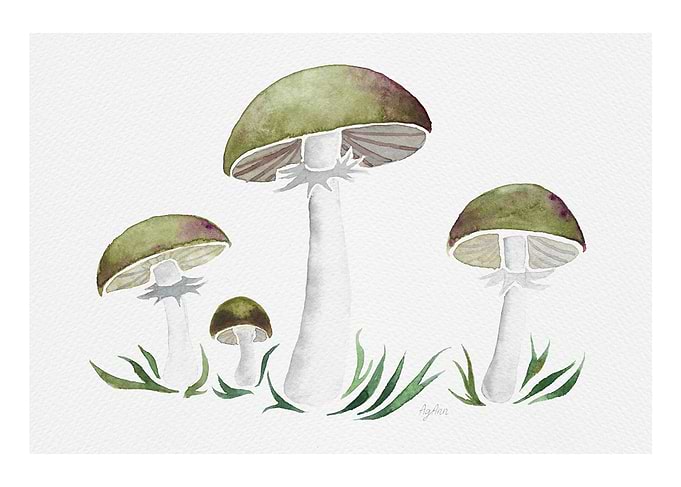 Green Mushrooms