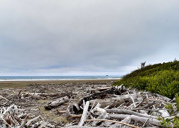 Wild Beach 8