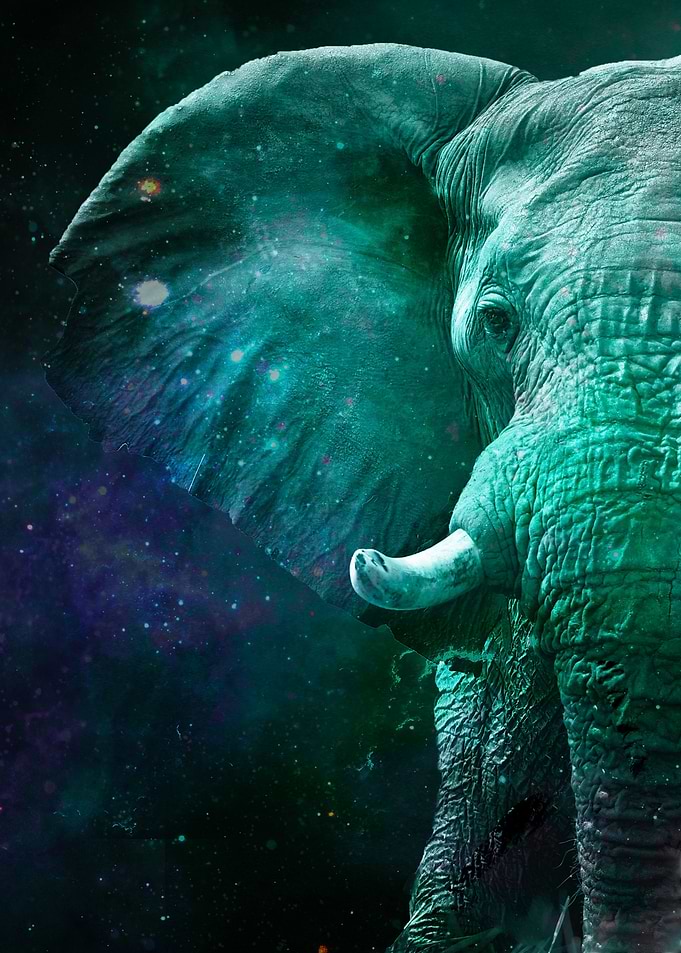 Galaxy Elephant Green
