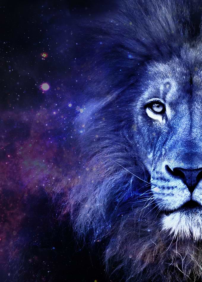 Galaxy Lion Purple