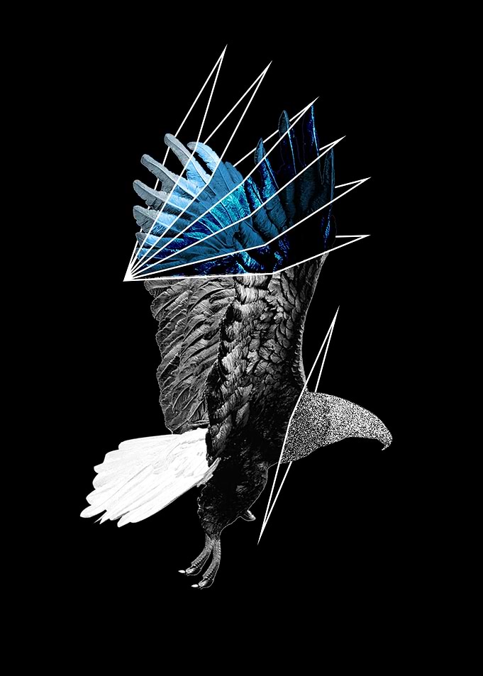 Linear Eagle