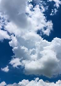 White and Blue