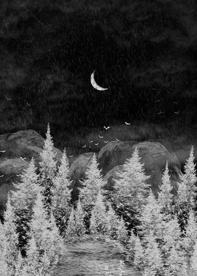 Chalk forest at night