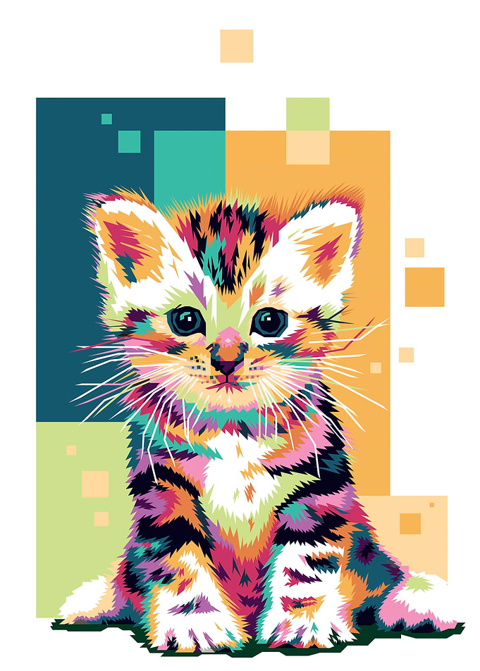 Anggora Cat