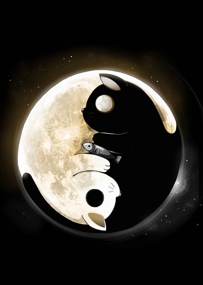 Ying Yang Cats