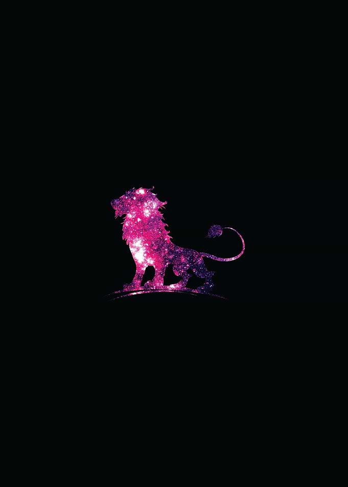 Africa Lion