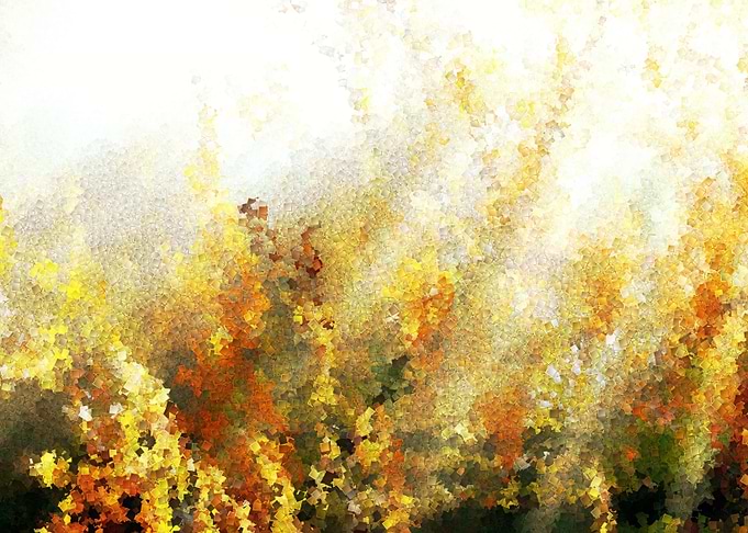 the first rays of the sun