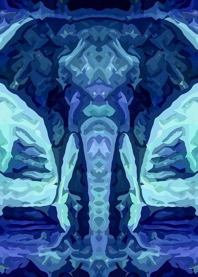 Elephant Semi Abstract