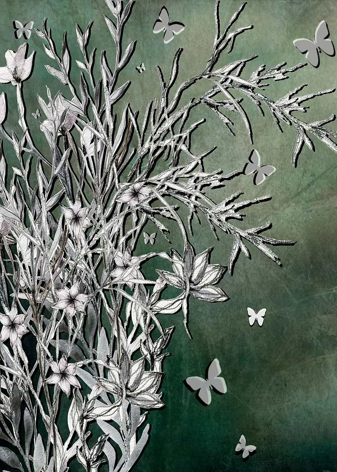 Butterfly Garden
