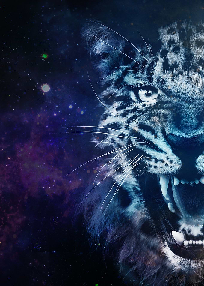 Galaxy Leopard Purple