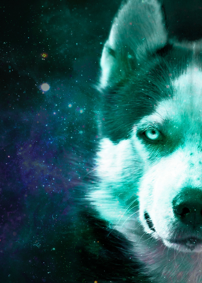 Galaxy Husky Green