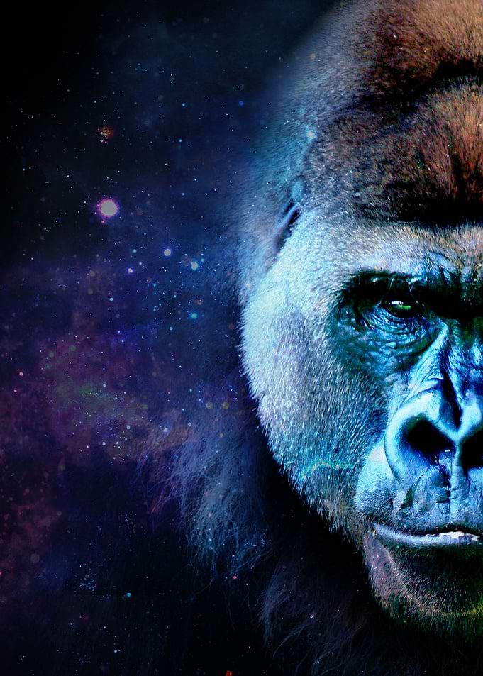 Galaxy Gorilla Blue