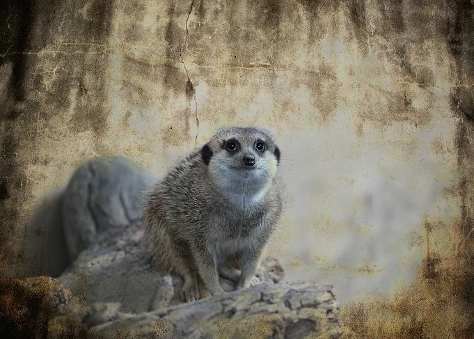 Are you looking at me