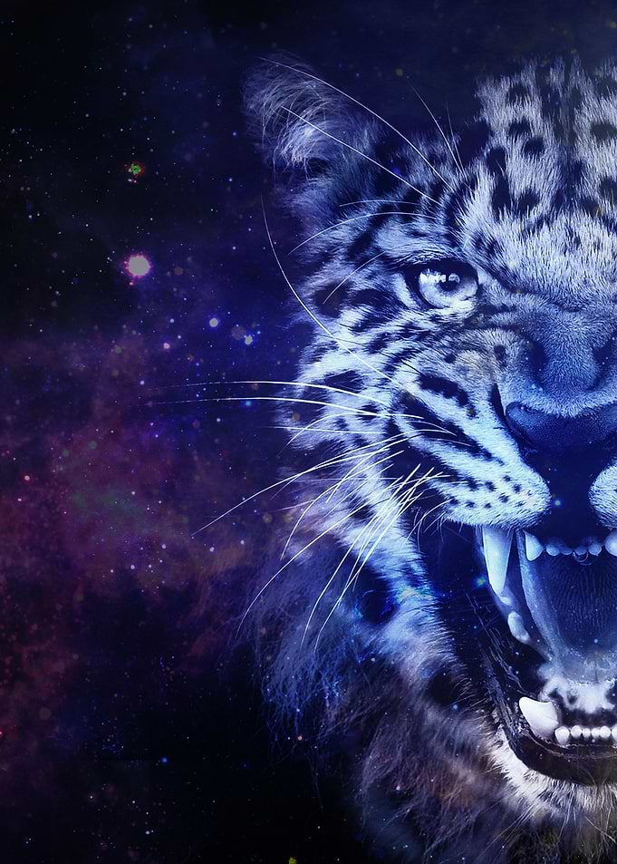 Galaxy Leopard Blue