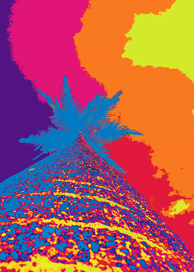 COLORFUL SUMMER