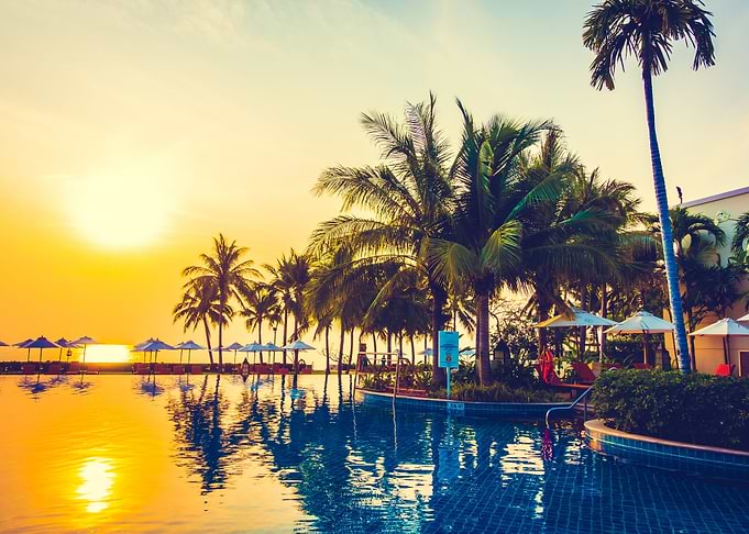 Sunset and palm trees