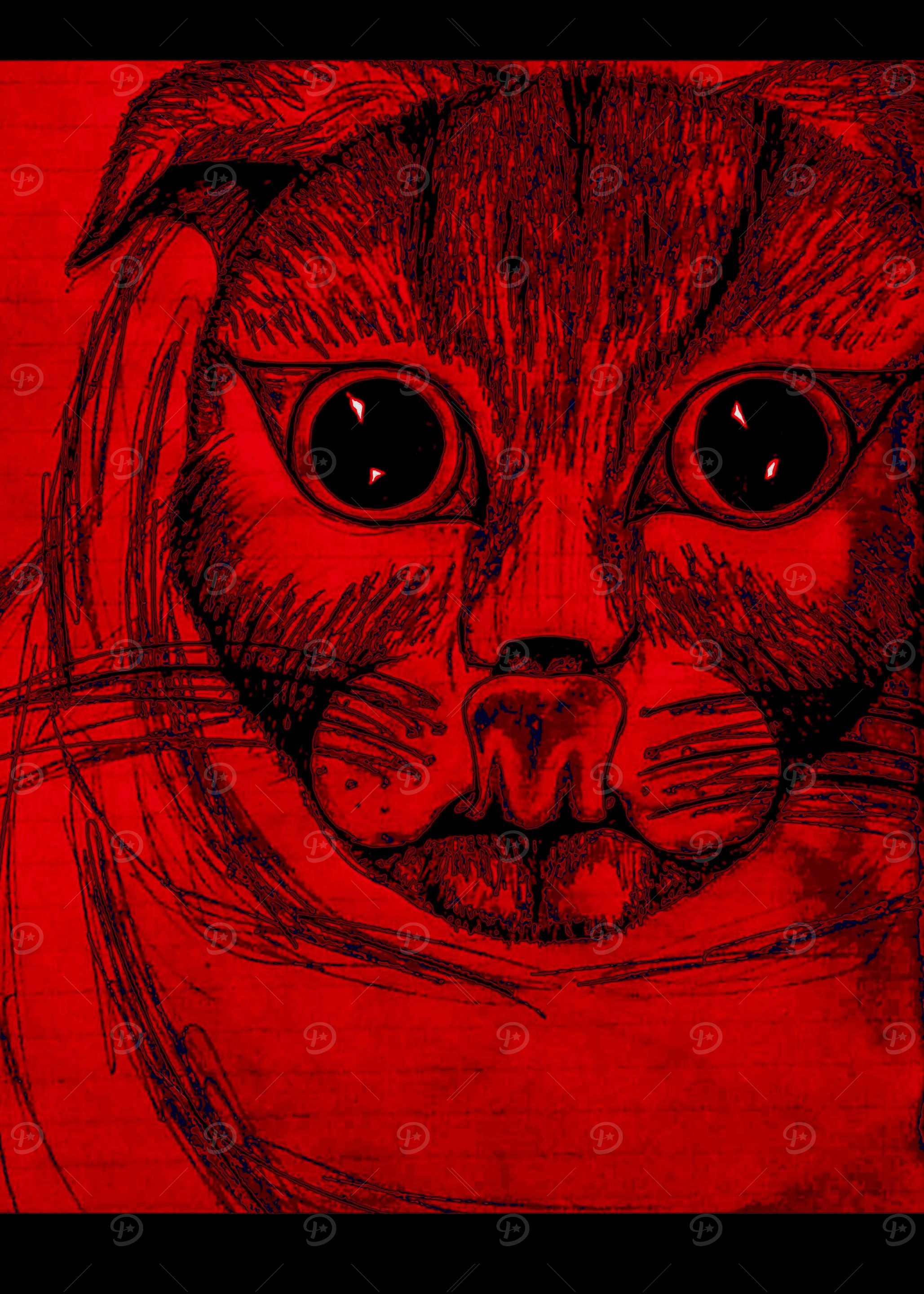 R Cat