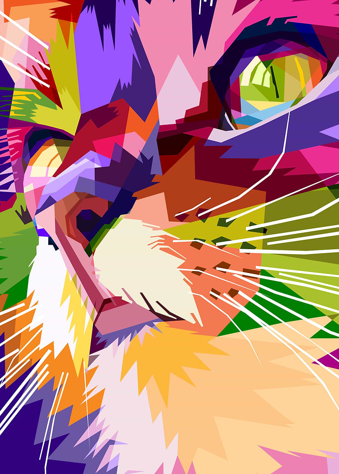 close up of face cat