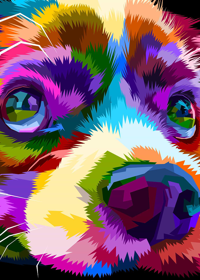 close up of dog