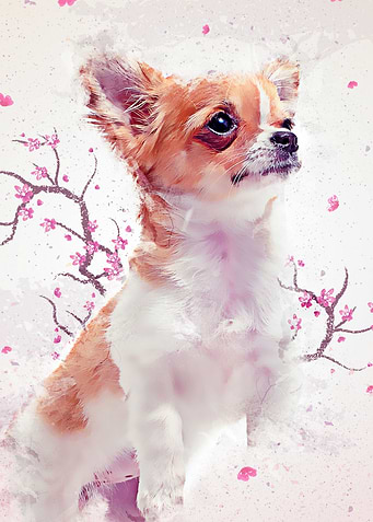 Chihuahua Sakura Paint