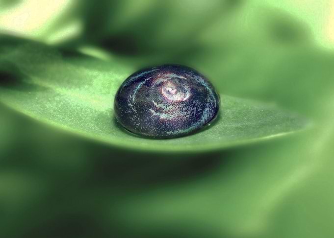 One Drop