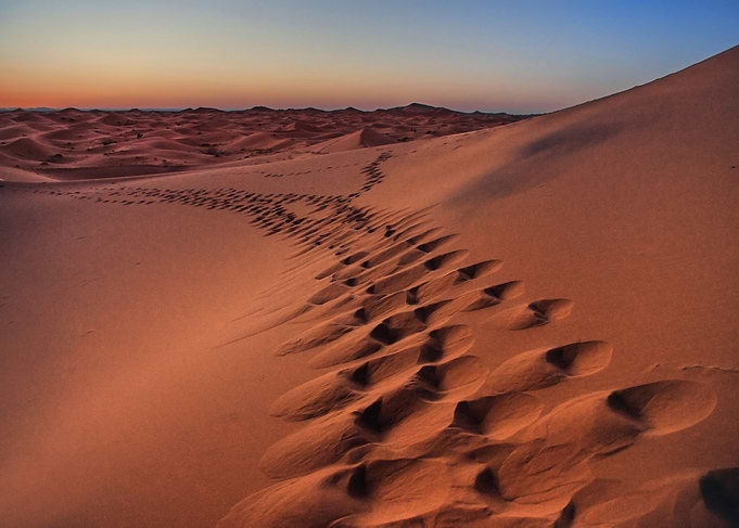 Sahara desert Footprints