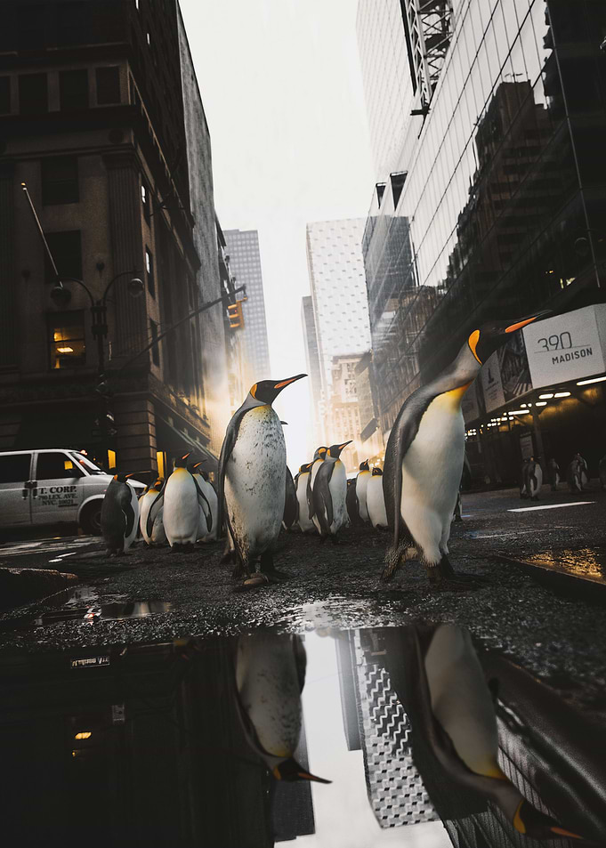Just Smile And Wave Boys