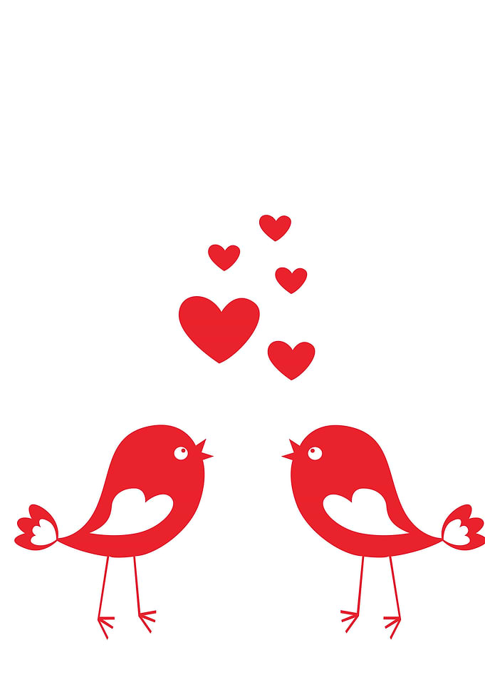 Love Bird