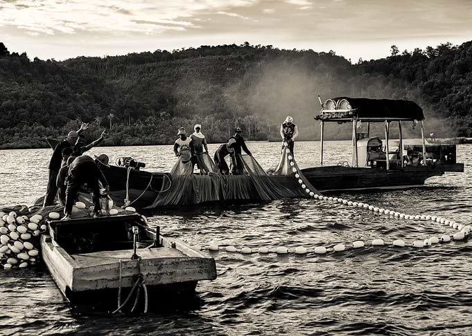 Anchovy Fishermen