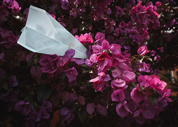 flores
