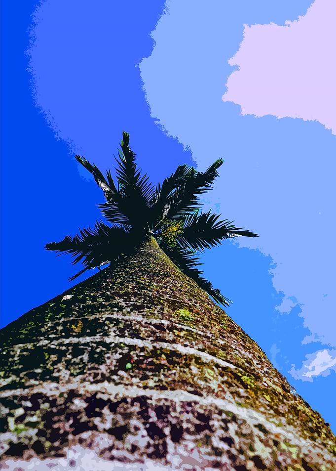 BLUE SUMMER