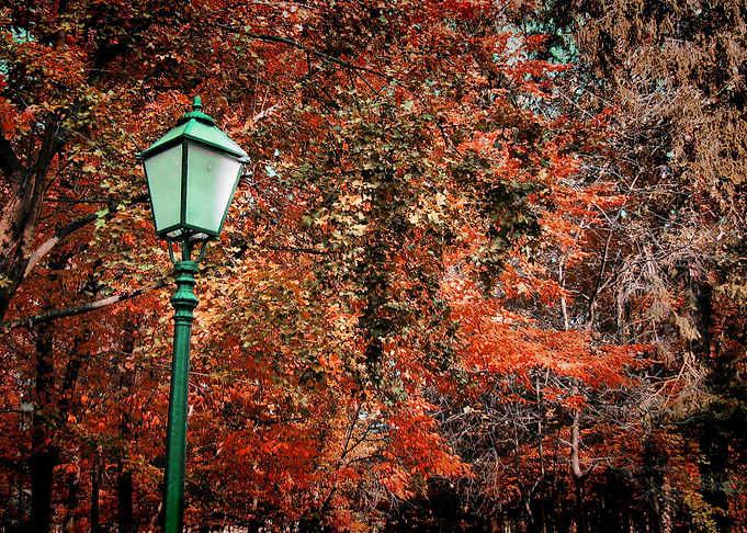 Autumn in the park