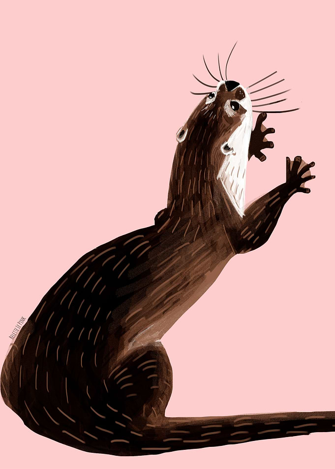 Asiatic otter in Pink