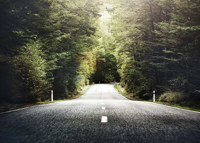 Road to the wilderness