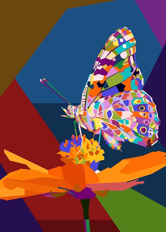 A Butterfly