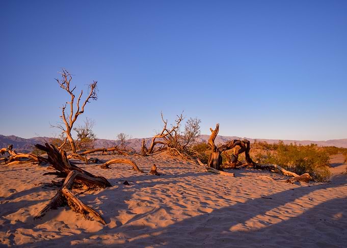 Evening Dunes 2