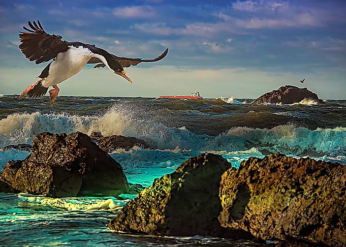 Landing