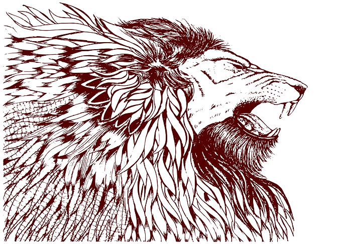 The Lion