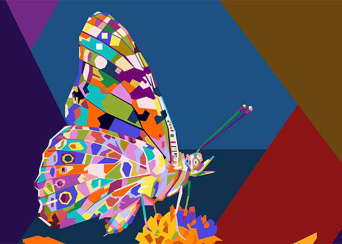 The Butterfly