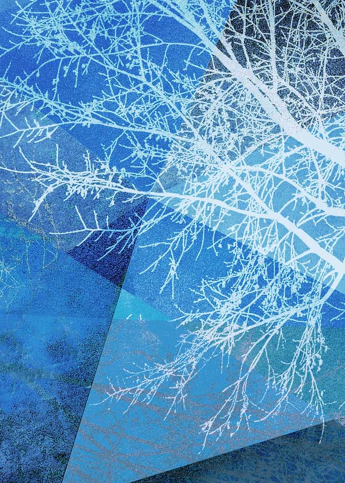 P19F2 TREES AND TRIANGLES
